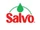 Salvo