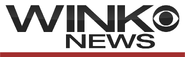 WINK News logo (2015–2017)