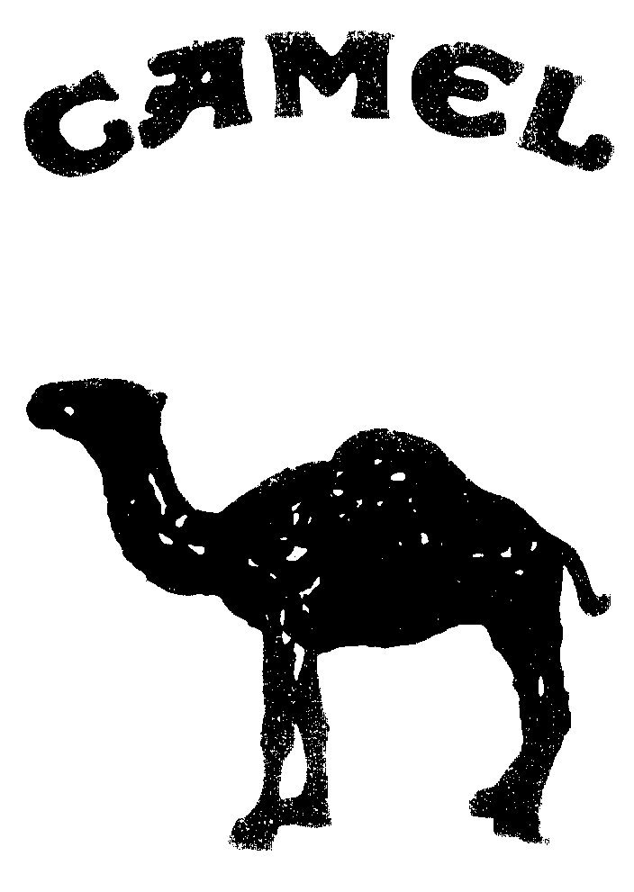 Camel Cigarettes Logo Essential