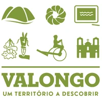 Valongo logo