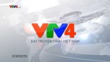 VTV4 (2019)