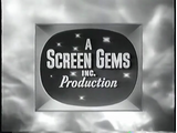 Screen Gems Television/Other