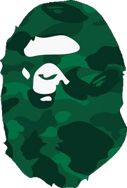 Camo bape logo discount