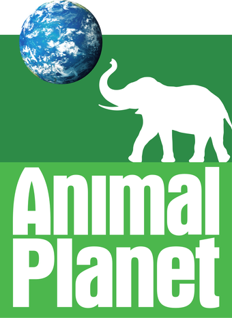 Download Animal Planet Logopedia Fandom PSD Mockup Templates