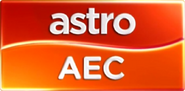 Used as ident and promotional (2014-present)