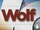 Wolf (TV program)