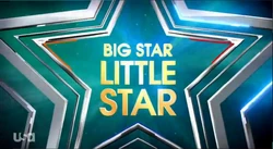 Big Star Little Star