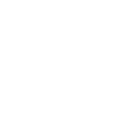 FRZ - Logo