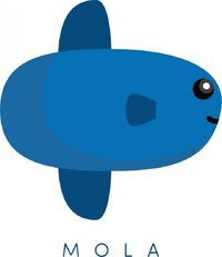 Streaming mola 2025 tv free