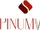 Spinumviva