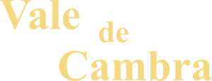 Vale de Cambra 2001