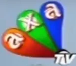 On-screen bug (2006–2007)