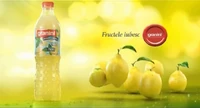 Granini ad 2012.png (212 KB) Ad endcap (2012, Romania)