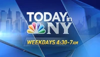 Today in New York promo (June 2016)