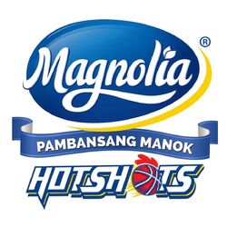 magnolia hotshots jersey 2021