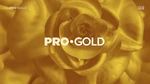 Acasă Gold/Idents | Logopedia | Fandom