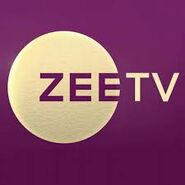 Zee TV Russia 2017