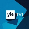 On-screen logo (2016-present)