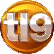 Telenueve (Logo 2013)