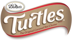 Turtles (2017)