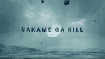 Akame ga Kill! (2014/2015–2016)*