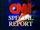 CNN Special Report