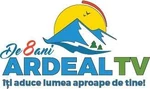 8th anniversary logo (2017)