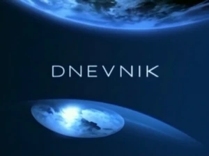 Dnevnik 2006-2009