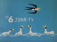 A swallow and a flock of swans