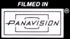 filmed with panavision cameras and lenses logo