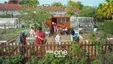 Allotment Holders, Smethwick