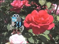 Station ID from 2012, featuring the station's C. More mascot. (2)