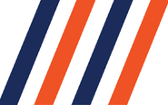 NYI 1998 Alt Logo
