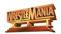 wrestlemania 29 logo png