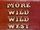 More Wild Wild West