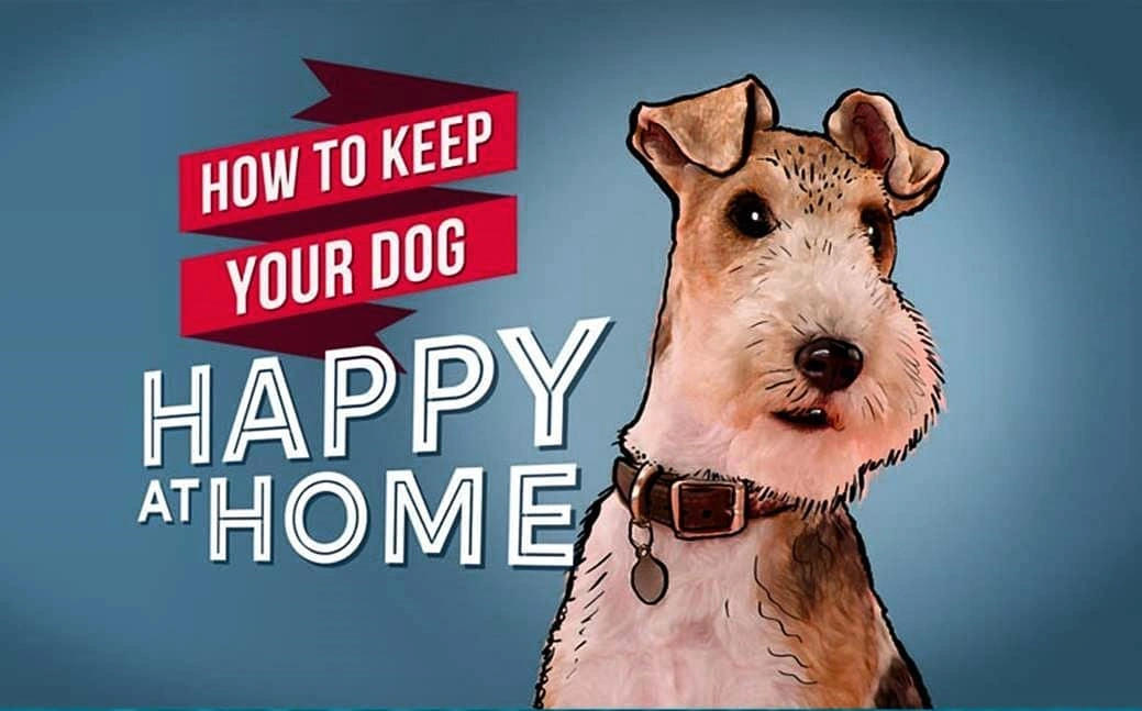 How to Keep Your Dog Happy at Home Logopedia Fandom