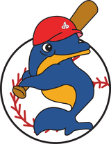 Pacific Dolphins 1994