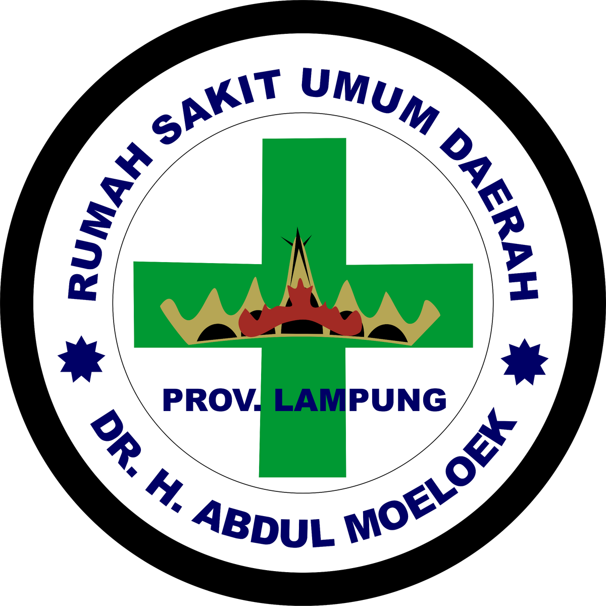 Rumah Sakit Umum Daerah Dr. H. Abdul Moeloek Logopedia Fandom