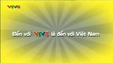 VTV4 (2011-2012)