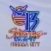 On-screen bug/ID plaster (1991-1992)