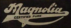 Magnolia 1925