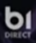 Direct on-screen bug