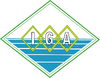 IIGA