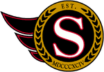 Alternate logo worn on shoulders from 1992 to 2007; a mirrored variant also exists