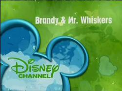 Disney Channel (international)/Ribbon Logo Idents, Logopedia