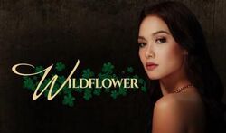 Wildflower titlecard