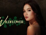 Wildflower