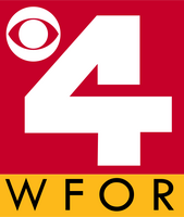 Alternate version (1995–1999)