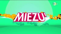 Title card (2017–2019)
