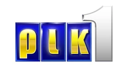 Rik logo2